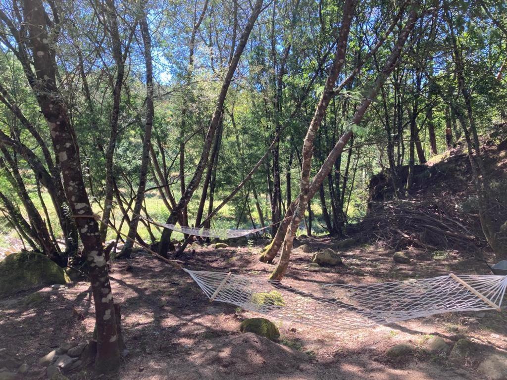 Casa Da Ribeira Do Cirio Guest House เซยา ภายนอก รูปภาพ