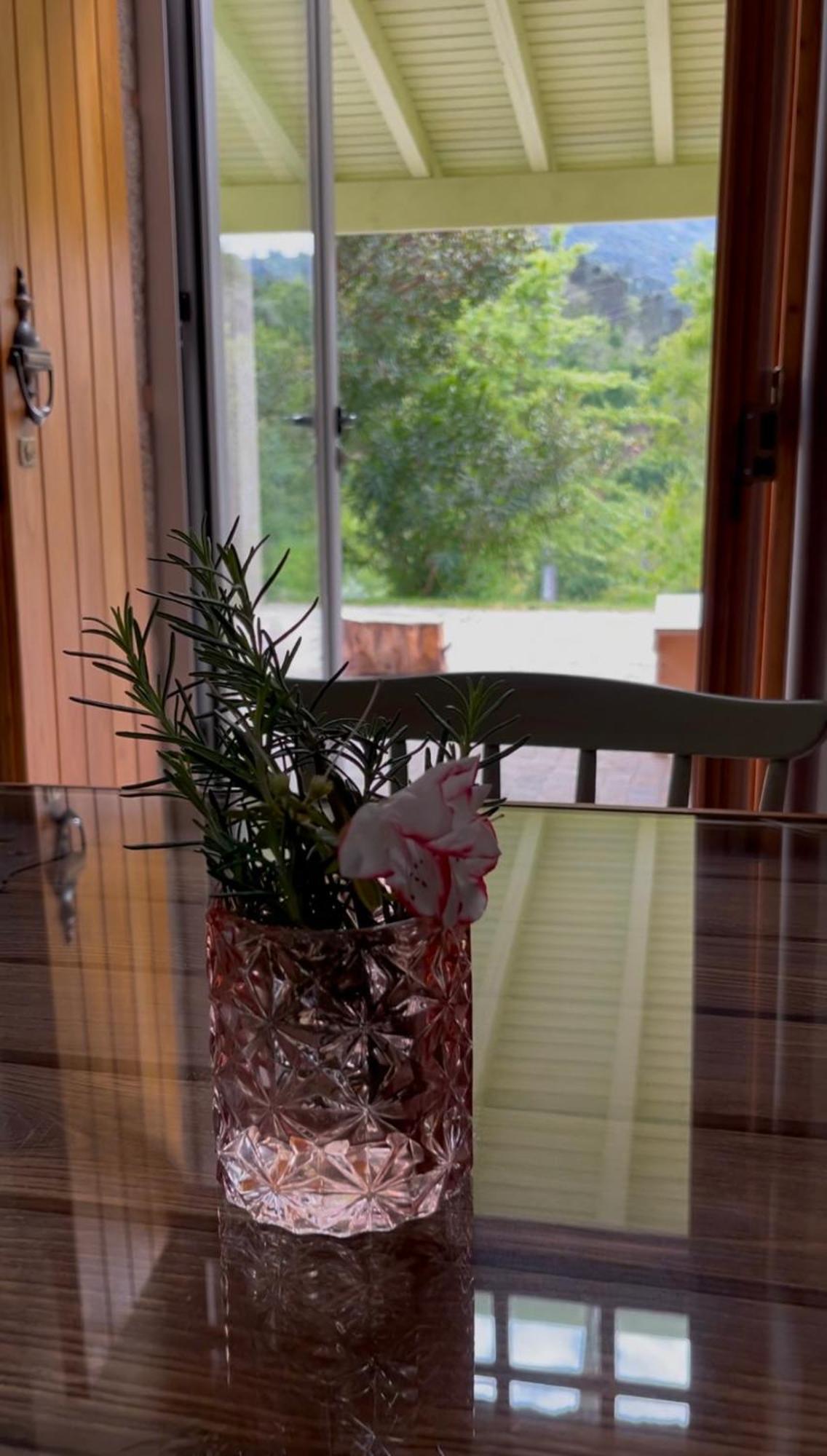 Casa Da Ribeira Do Cirio Guest House เซยา ภายนอก รูปภาพ