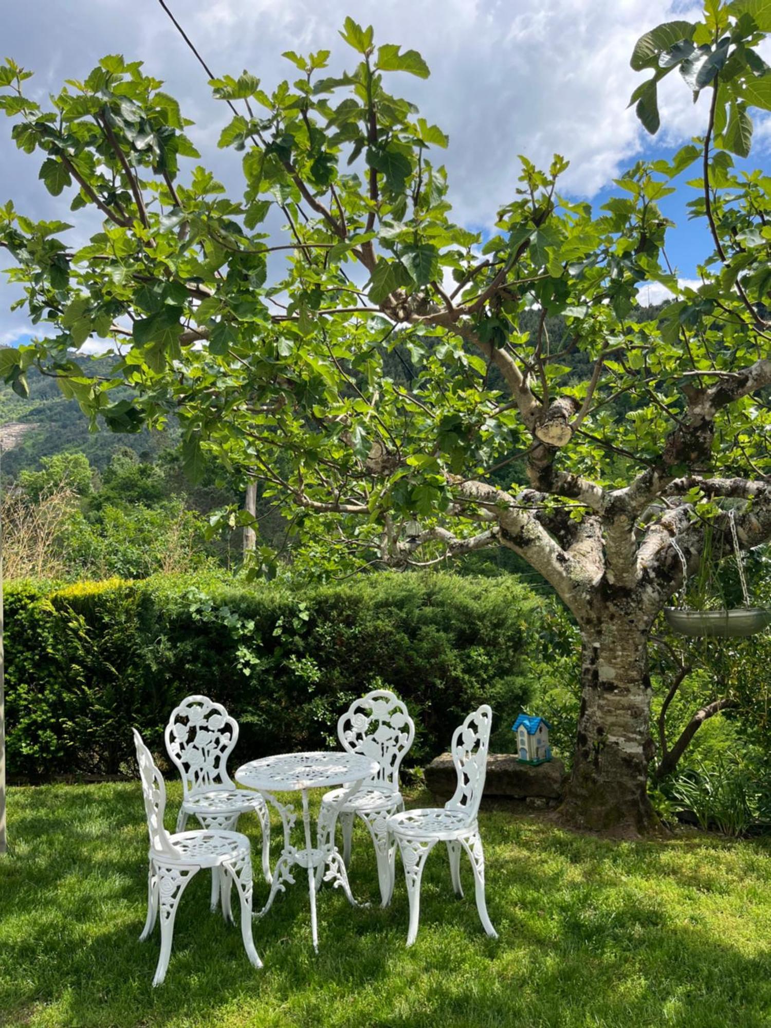 Casa Da Ribeira Do Cirio Guest House เซยา ภายนอก รูปภาพ